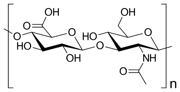 Hyluronic Acid